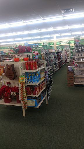 Dollar Store «Dollar Tree», reviews and photos, 124 E Geneva Square, Lake Geneva, WI 53147, USA