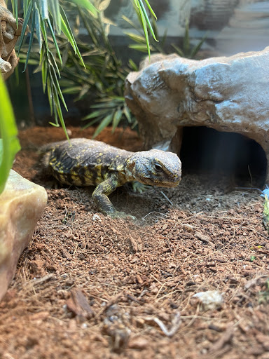 Pet Store «Jules Pet Shop», reviews and photos, 2214 N Milwaukee Ave, Chicago, IL 60647, USA