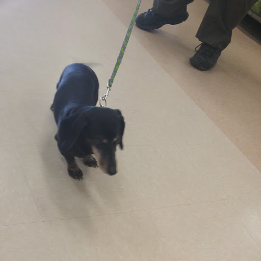 Pet Supply Store «Petco Animal Supplies», reviews and photos, 244 Pioneer Trail, Chaska, MN 55318, USA