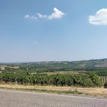 Photo n°1 de l'avis de Rosa.a fait le 17/08/2023 à 13:48 sur le  Agriturismo le Tradizioni di Elide à Rovescala