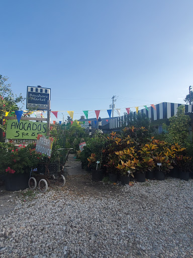 Grocery Store «Bayshore Market», reviews and photos, 5025 Bayshore Blvd, Tampa, FL 33611, USA