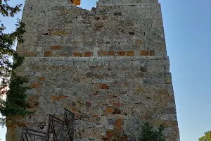 Nicosia Castle image