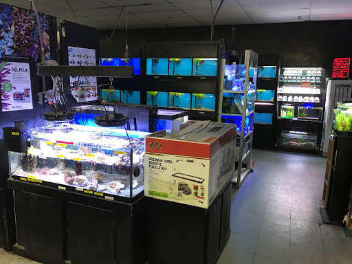 Pet Store «Oceans Of Pets», reviews and photos, 1794 Diamond Hill Road, Woonsocket, RI 02895, USA