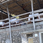 Photo n°2 de l'avis de Avi.h fait le 02/06/2023 à 08:22 sur le  Restaurant La Fontelina à Capri