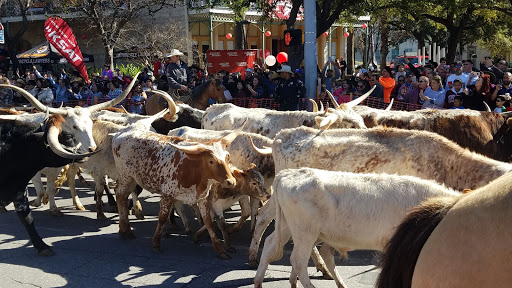 Park «Milam Park», reviews and photos, 500 W Commerce St, San Antonio, TX 78207, USA