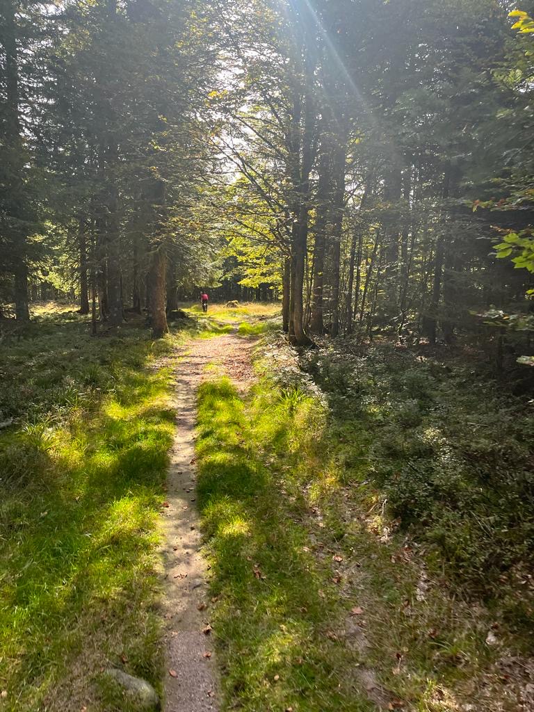 Photo n° 3 de l'avis de Philippe.e fait le 08/10/2023 à 13:10