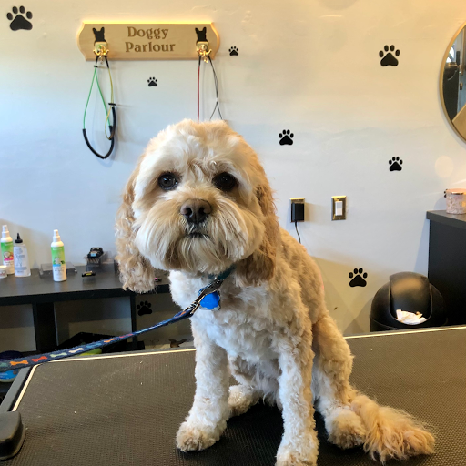 Doggy Parlour.ca - Professional Dog Grooming Service Calgary