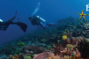 Blue Sea Divers Seychelles image