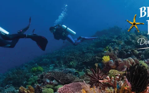Blue Sea Divers Seychelles image