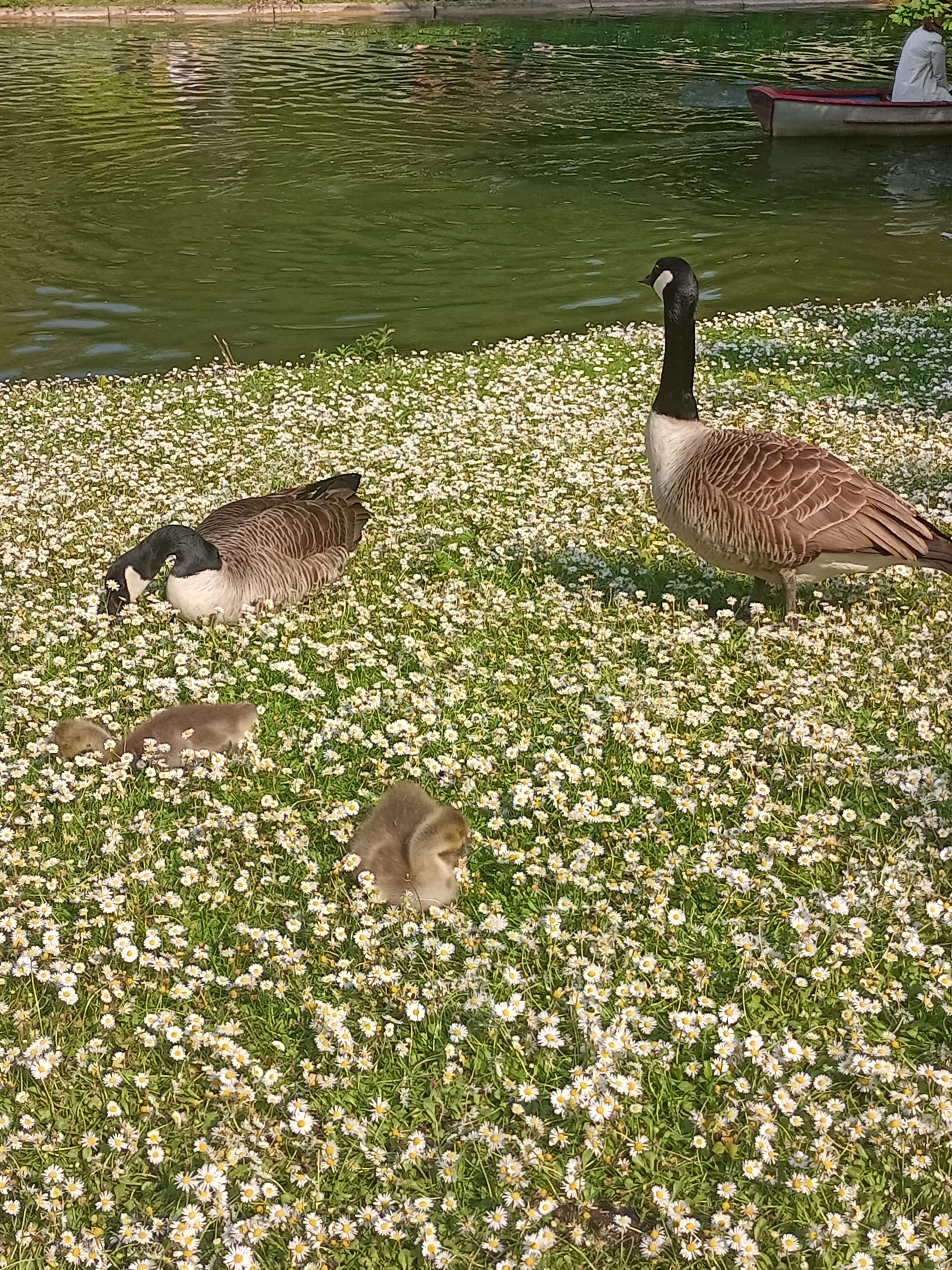 Photo n° 3 de l'avis de LUCIE.P fait le 16/05/2023 à 18:58
