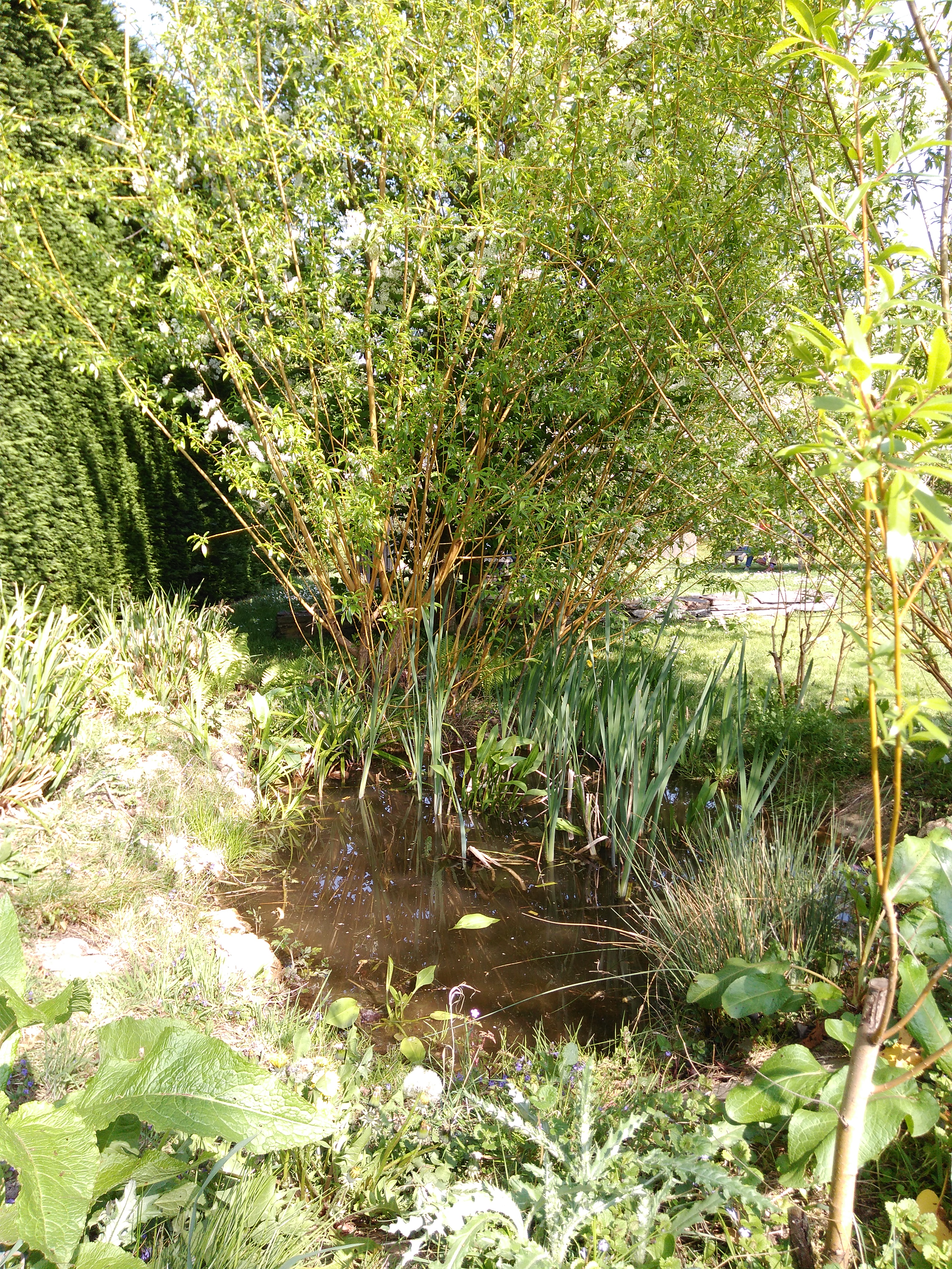 Photo n° 16 de l'avis de Nicolas.a fait le 08/04/2017 à 14:08