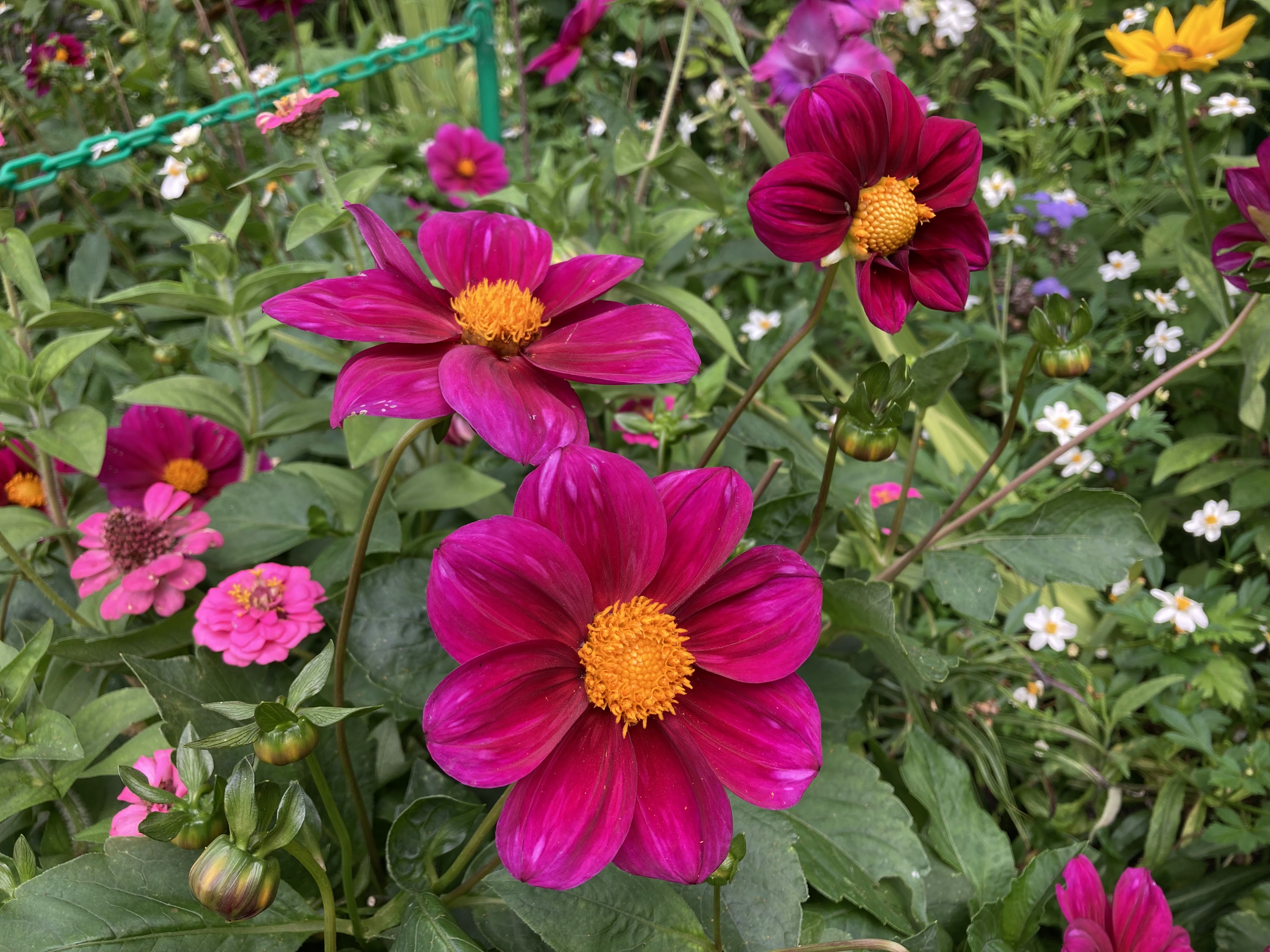 Photo n° 10 de l'avis de George.a fait le 21/08/2023 à 17:35