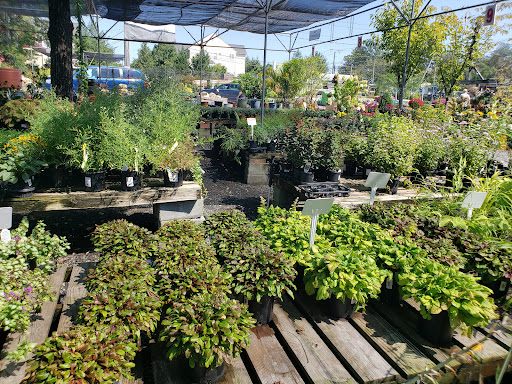 Garden Center «Nalls Produce», reviews and photos, 7310 Beulah St, Alexandria, VA 22315, USA