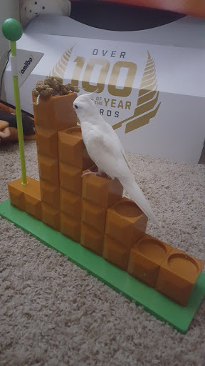 Bird Shop «Arizona Bird Store», reviews and photos, 565 S Dobson Rd, Mesa, AZ 85202, USA