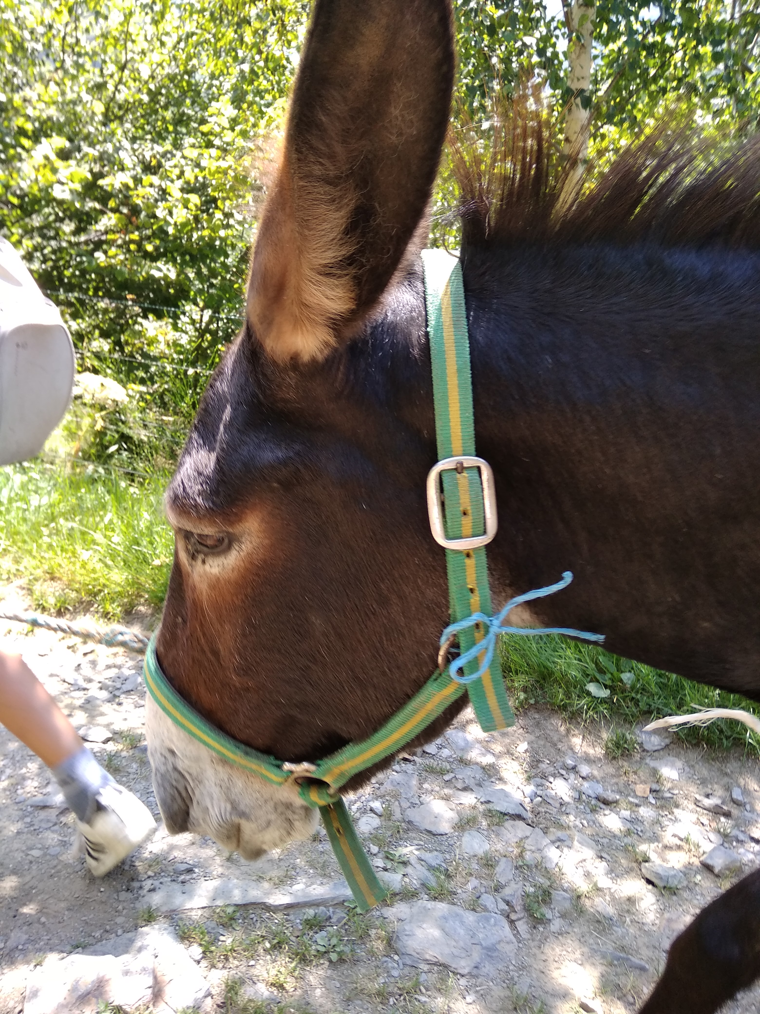 Photo n° 3 de l'avis de Thomas.u fait le 07/08/2018 à 08:49
