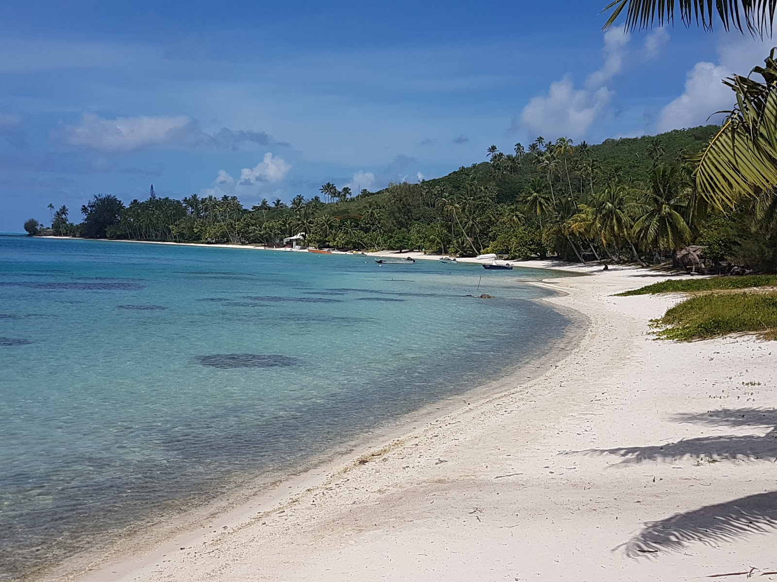 Foto de Plage Matira com areia bege superfície