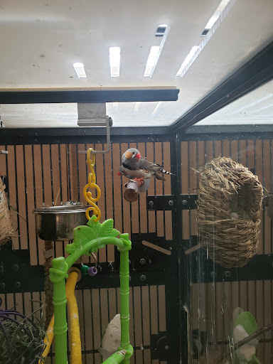 Pet Supply Store «PetSmart», reviews and photos, 1232 Hooper Ave, Toms River, NJ 08753, USA