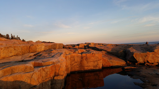 Vista Point «Schoodic Point», reviews and photos, Arey Cove Rd, Winter Harbor, ME 04693, USA