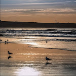 Photo n° 12 de l'avis de Pierre.e fait le 19/02/2021 à 13:10 pour Plage de Wissant à Wissant