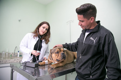 Veterinary Center Panamericano em São Paulo - SP