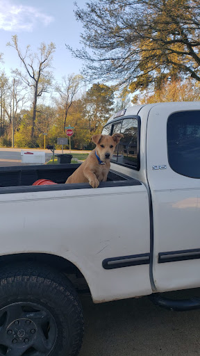 Auto Body Shop «Caliber Collision», reviews and photos, 25225 Kuykendahl Rd, The Woodlands, TX 77375, USA