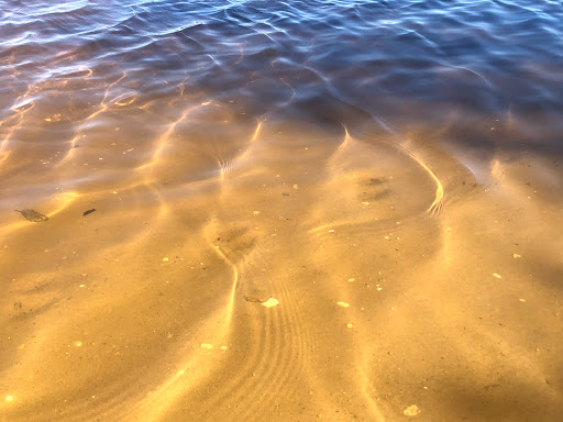 Nature Preserve «Maurice River Bluffs Preserve», reviews and photos, Silver Run Rd, Millville, NJ 08332, USA