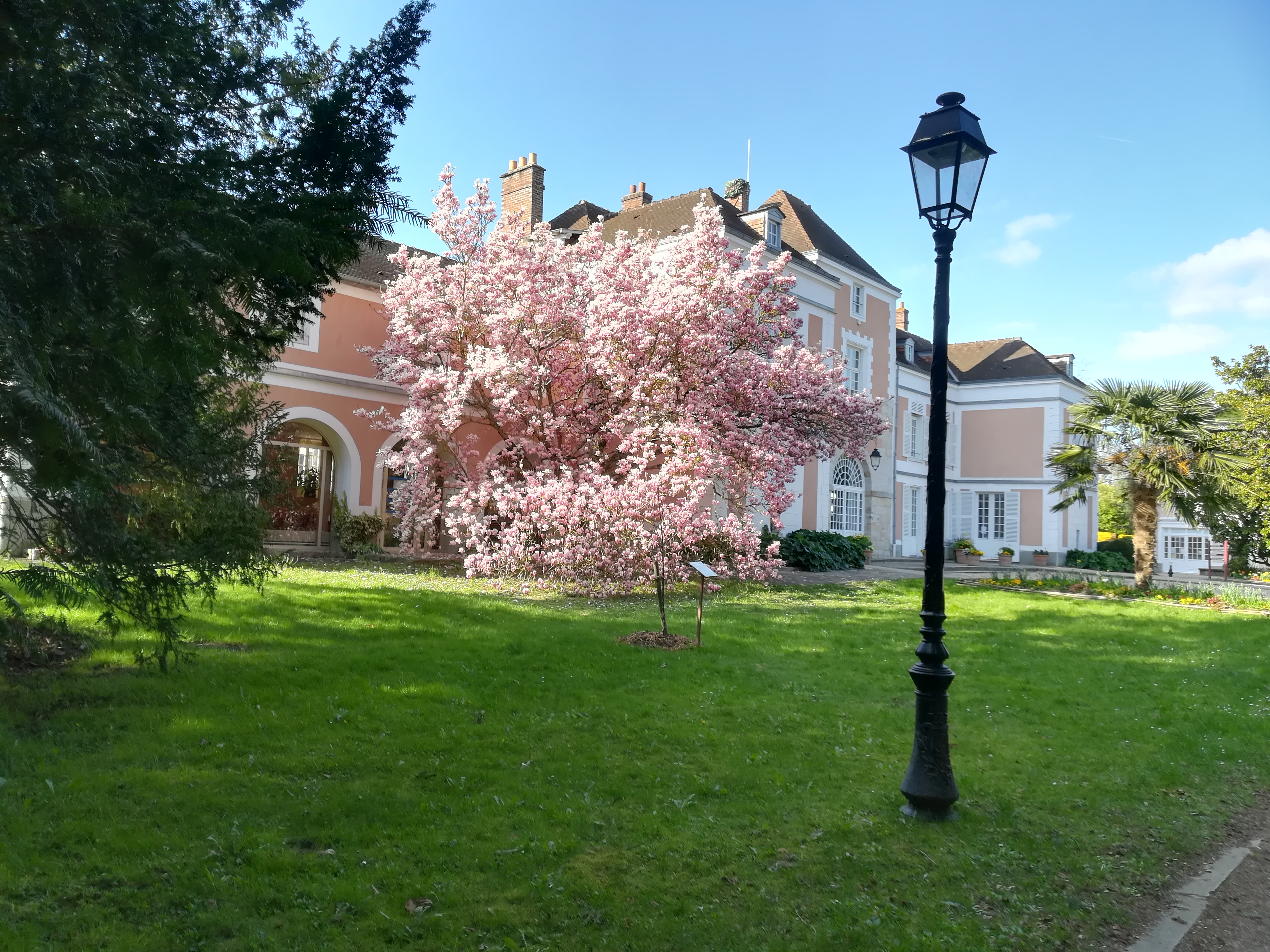 Photo n° 1 de l'avis de Jocelyne.U fait le 12/05/2019 à 16:23