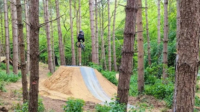 Reviews of Twisted Oaks Bike Park and Trails in Ipswich - Bicycle store