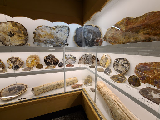 Natural History Museum «Rice Northwest Museum of Rocks & Minerals», reviews and photos, 26385 NW Groveland Dr, Hillsboro, OR 97124, USA