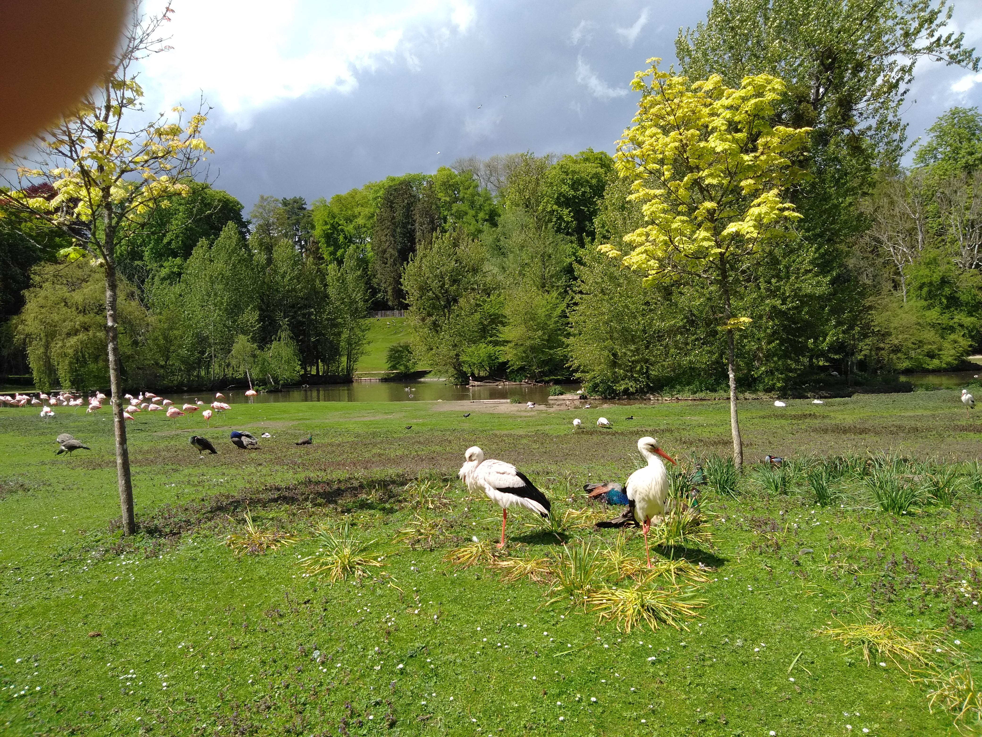 Photo n° 23 de l'avis de Francois.u fait le 08/05/2019 à 16:10