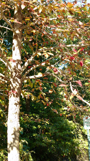 Wildlife Park «Charlie Elliott Wildlife Center», reviews and photos, 543 Elliott Trail, Mansfield, GA 30055, USA