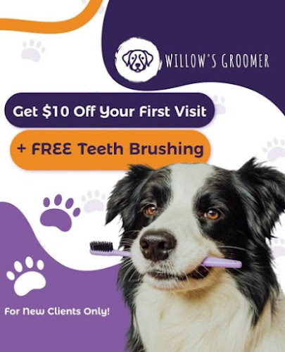 Photo of Willow's Groomer in Oviedo, FL
