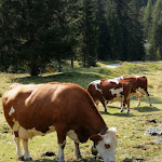 Photo n°16 de l'avis de Anna.a fait le 25/01/2021 à 17:13 sur le  Hotel Waldruhe à Gsies