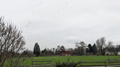 Museum «Pearson Air Museum», reviews and photos, 1115 E 5th St, Vancouver, WA 98661, USA