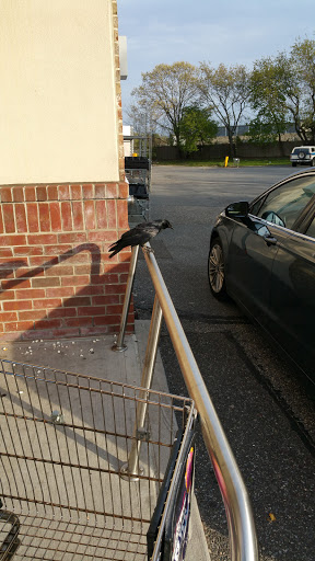 Supermarket «Stop & Shop Plaza», reviews and photos, 400 Union Blvd, West Islip, NY 11795, USA