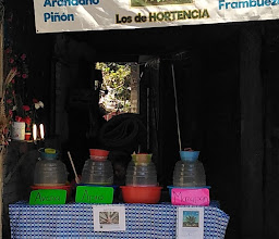 La Huitzilopoztlena photo
