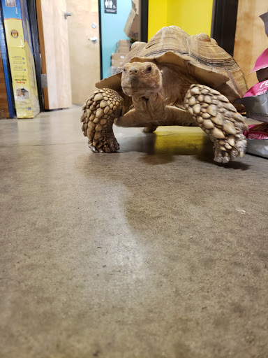 Pet Store «Critter Cabana - Wilsonville», reviews and photos, 8406 SW Main St #200, Wilsonville, OR 97070, USA