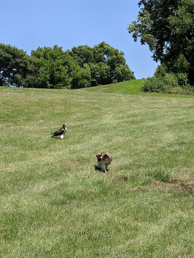 Golf Course «Kissena Park Golf Course», reviews and photos, 164-15 Booth Memorial Ave, Fresh Meadows, NY 11365, USA