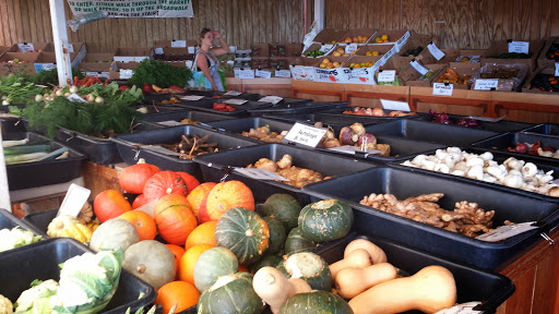 Shopping Mall «Oceanwalk Mall», reviews and photos, 101 N Ocean Dr, Hollywood, FL 33019, USA