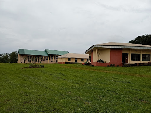 Delta State University Anwai Campus Asaba, Anwai Road, Asaba, Nigeria, Consultant, state Delta