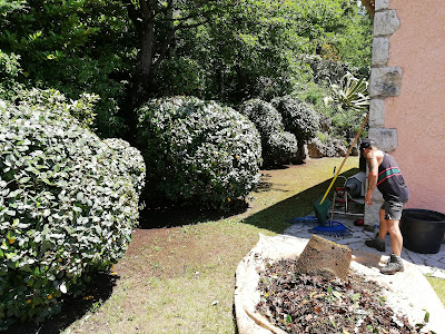 VERTICAL JARDINS Élagage/Abattage à Vence