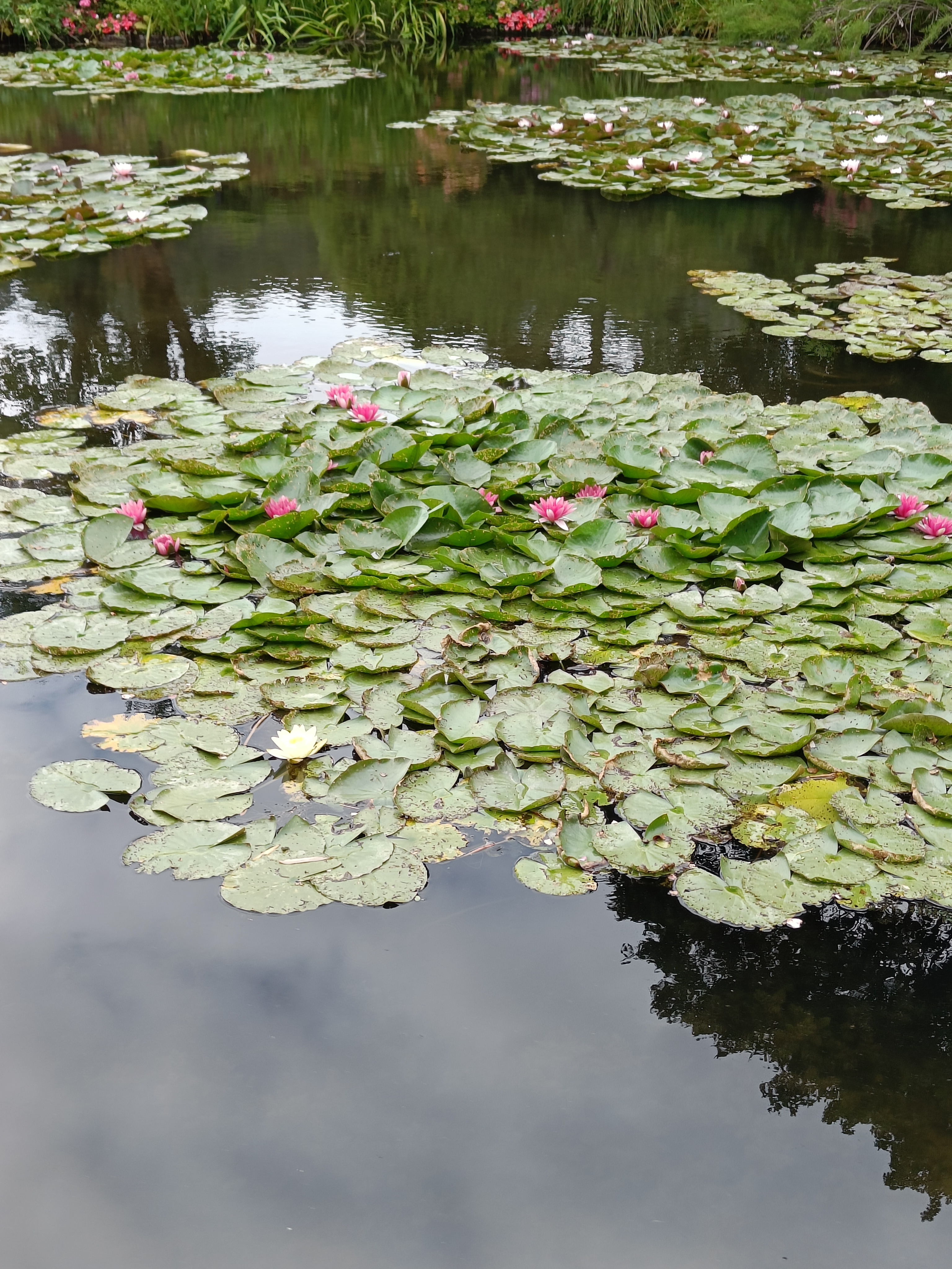 Photo n° 5 de l'avis de Mathéo.a fait le 07/07/2023 à 08:27
