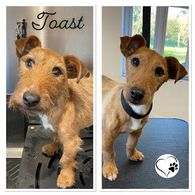 Farmhouse Groom Room