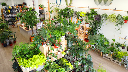PlanterSam image