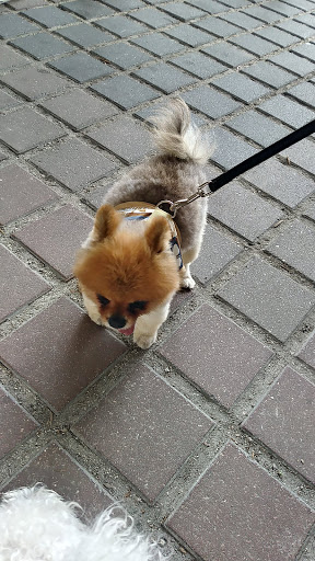 Arts Organization «Riverside Arts Market», reviews and photos, 715 Riverside Ave, Jacksonville, FL 32204, USA