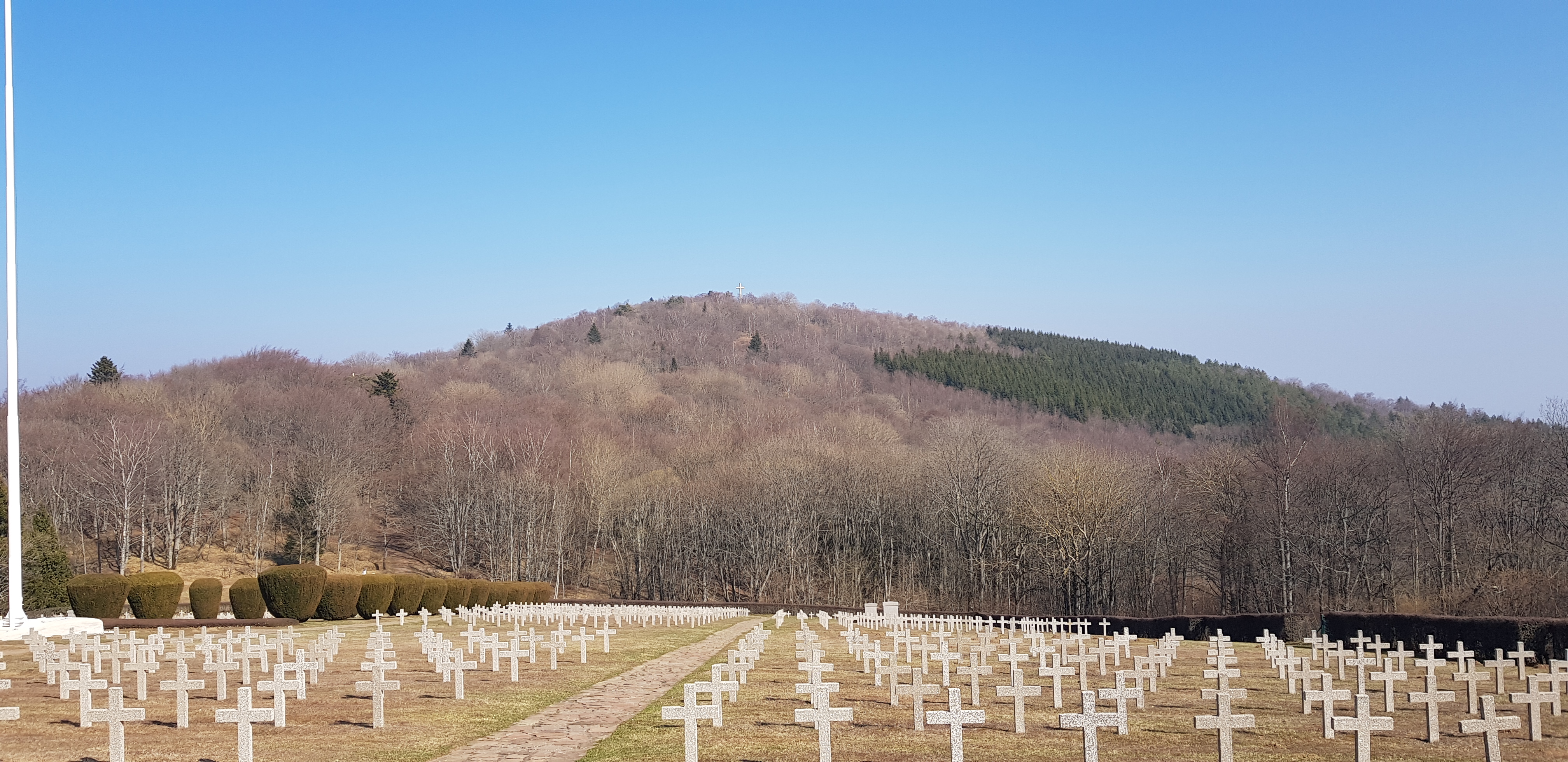 Photo n° 19 de l'avis de Alex.t fait le 22/03/2022 à 18:40