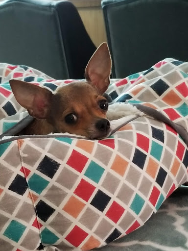 3301 John Moore Rd, Brandon, FL 33511, USA