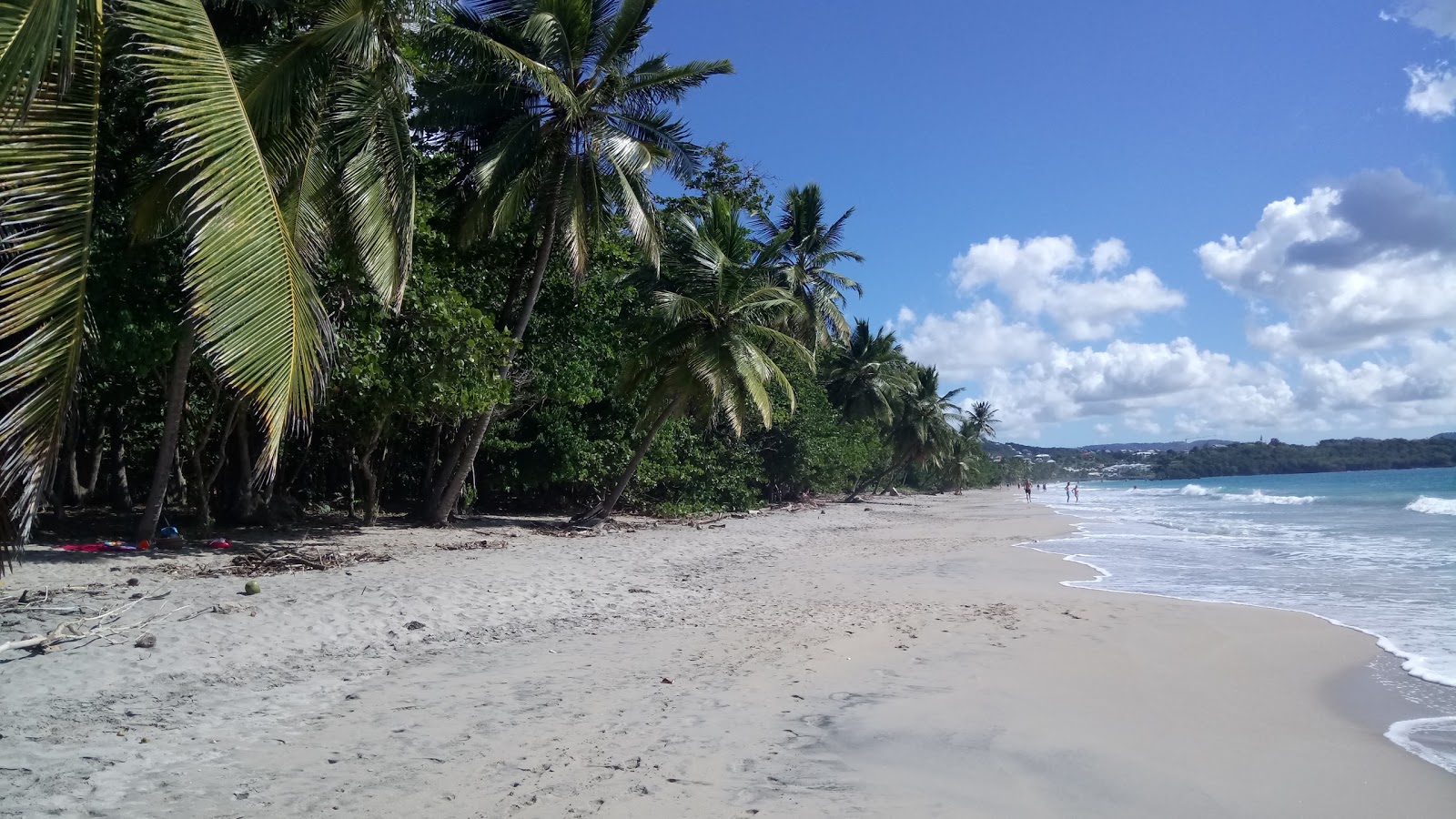 Photo de Le Diamant beach protégé par des falaises