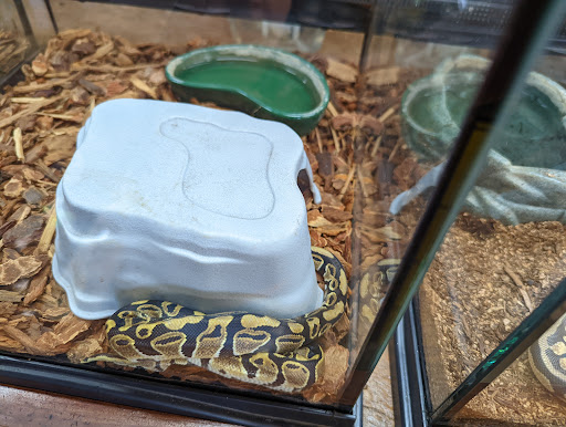 Pet Store «Just Pets», reviews and photos, 393 NY-5, Irving, NY 14081, USA