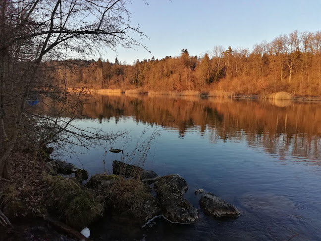 loewenberken.ch